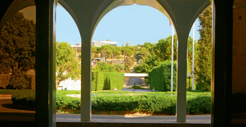 سياسات “التضليل” سياسات “التضليل”