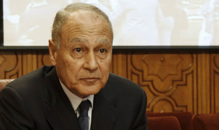 أبو الغيط: التحضيرات للقمة أصبحت جاهزة
