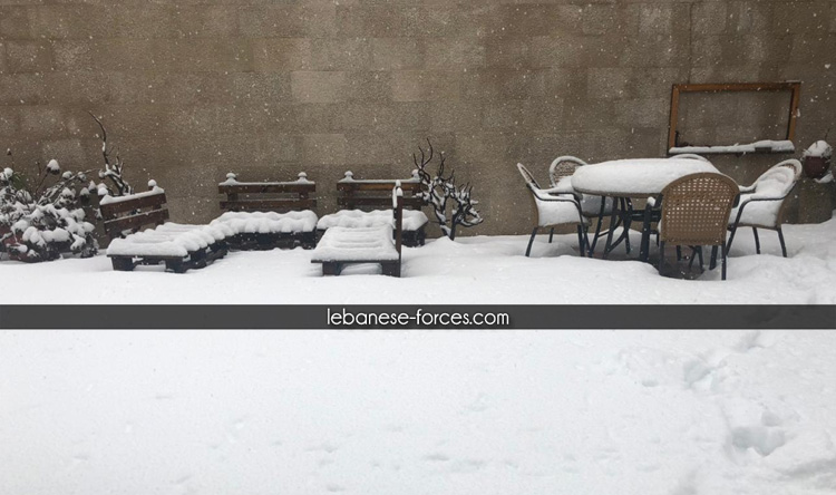 حراجل صباح اليوم الإثنين 7/1/2019