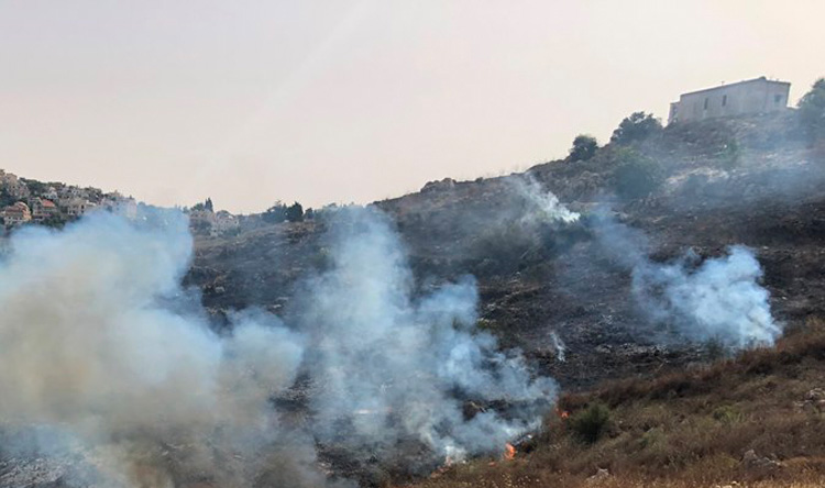 بالصور: حريق كبير في خراج بلدة القليعة