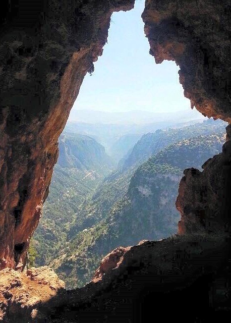 تادي عواد