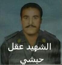 عقل حبشي 