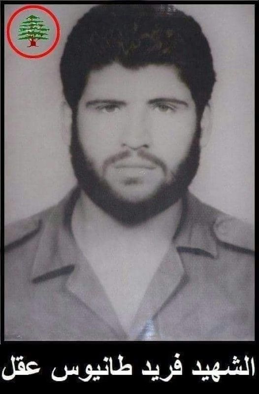 فريد طانيوس عقل - مواليد الدامور 29 أيار 1964 ـ استشهد في السعديات 