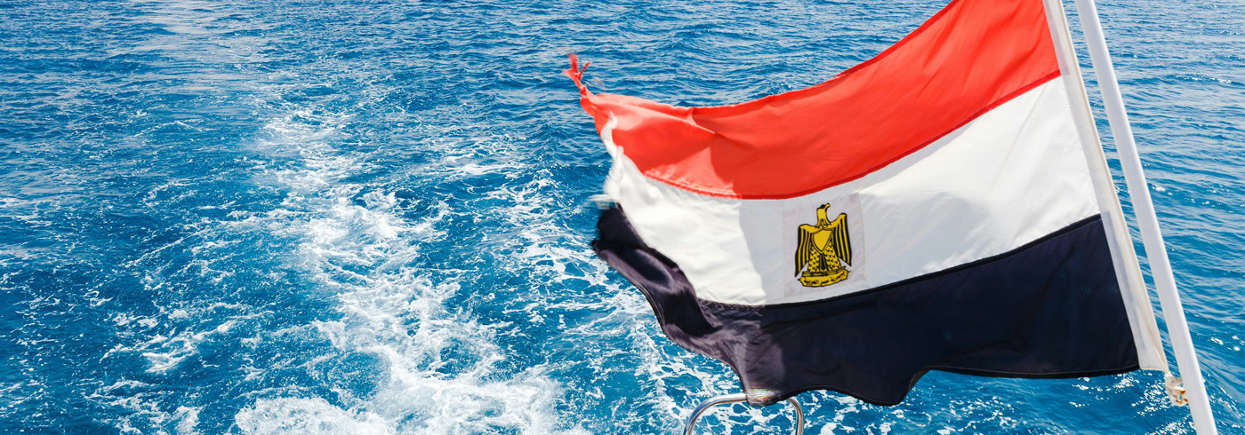  مصر 