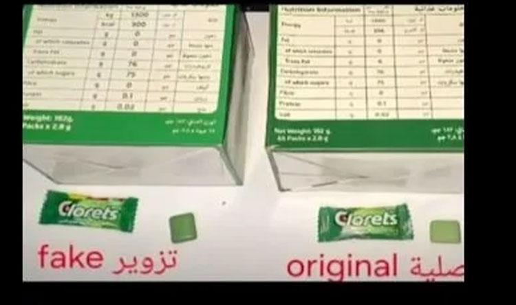 صيدا 