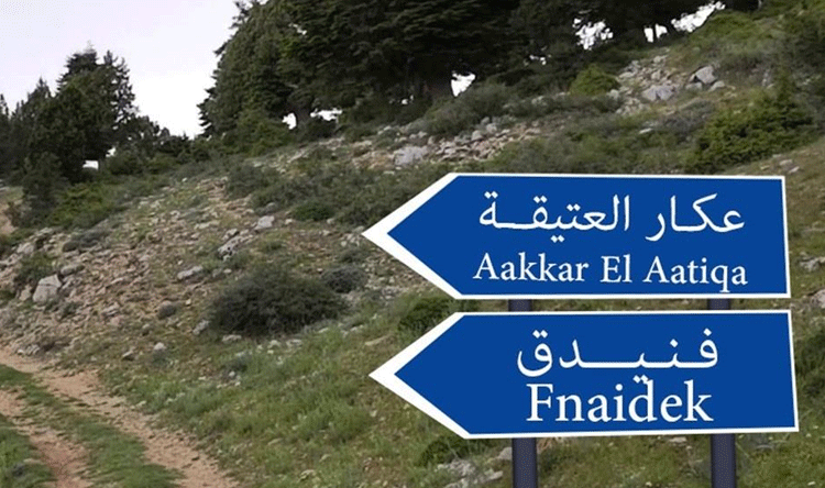 فنيدق