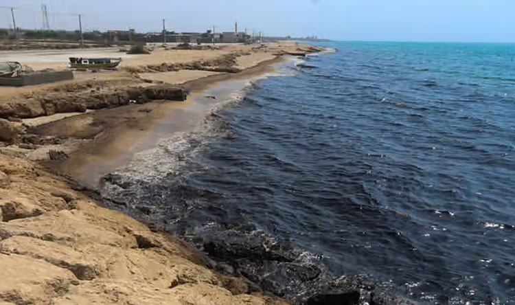 التلوث النفطي