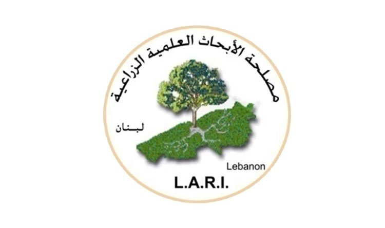 تنورين