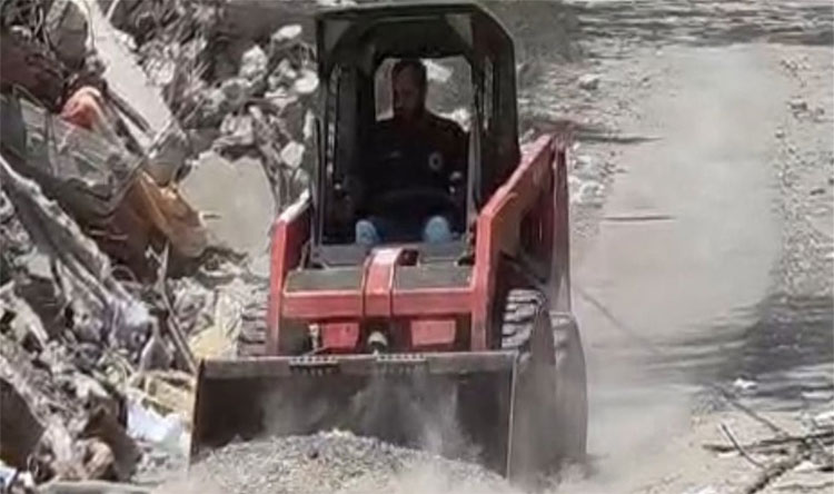 النبطية