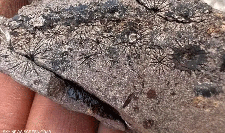 Unveiling the Post-Dinosaur Era Secrets