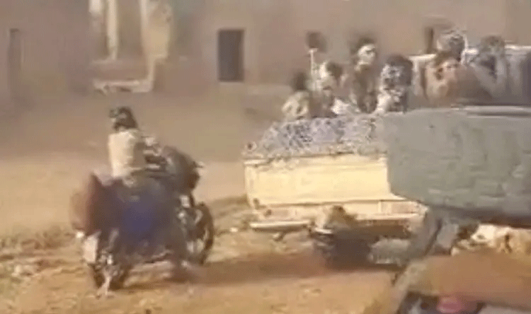  مالي