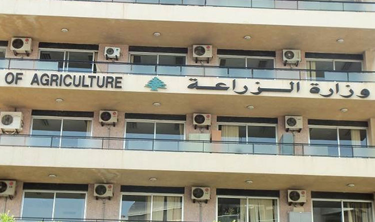 مشروع