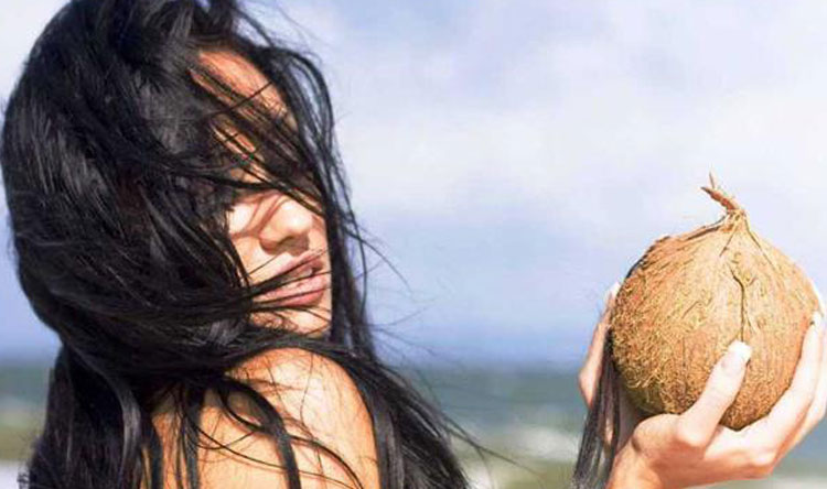 زيت جوز الهند... كنز! - Lebanese Forces Official Website