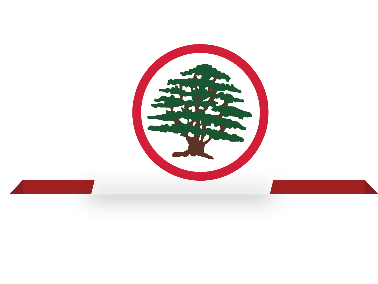 Elections 2022