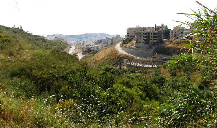 مجدليون… حبة من ترابِك بكنوز الدني – Lebanese Forces Official Website