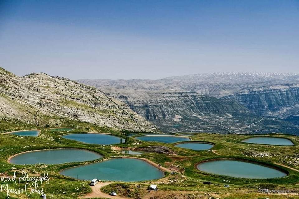 العاقورة
