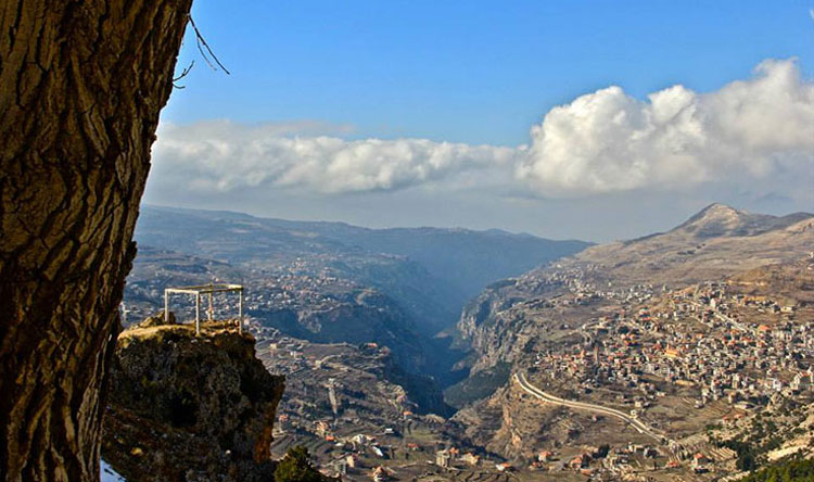 بشري