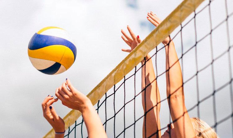 Спорт бизнес газета волейбол