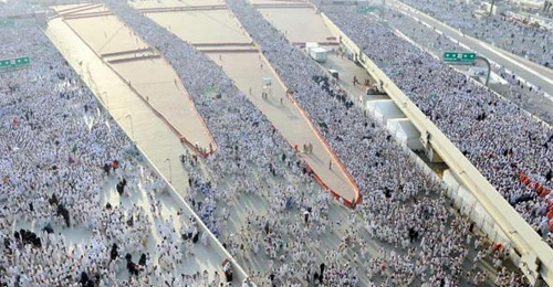 جنسيات الحجاج المتوفّين في تدافع منى