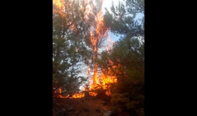 جهود كبيرة لاهماد الحريق في خراج فنيدق