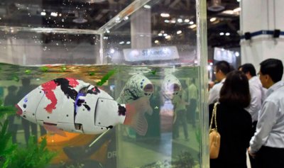 أسماك روبوتية لتنظيف المحيطات