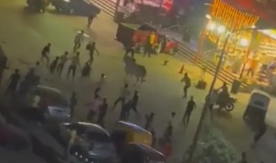 بالفيديو: هروب عجل قبل عيد الأضحى في مصر