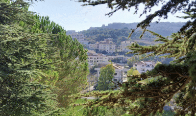 صورة من لبنانيّ: العبادية