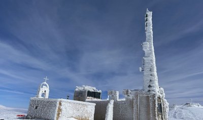 صورة من لبنانيّ: فاريا
