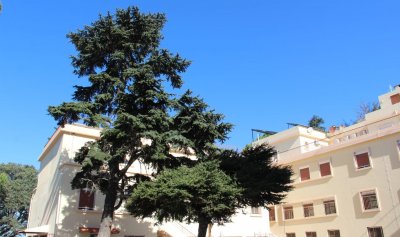 دير دون بوسكو ـ الكحالة