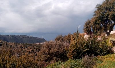 خاص ـ صورة من لبنانيّ ـ جربتا