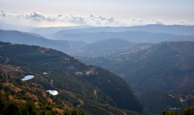 صورة من لبنانيّ: باكيش