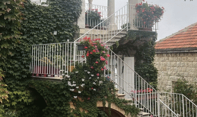 صورة من لبنانيّ: دوما