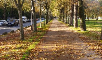 صورة من لبنانيّ: باريس