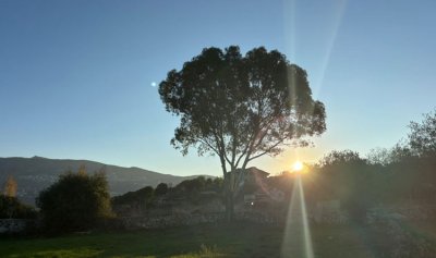 صورة من لبنانيّ: صربا ـ الجنوب