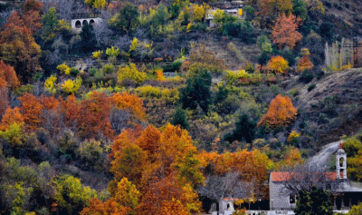 صورة من لبنانيّ: وطى الجوز