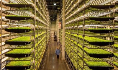 بالصور: أفضل 10 اختراعات لعام 2019