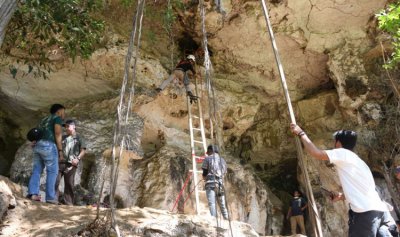 عمل فني عمره 44 ألف سنة