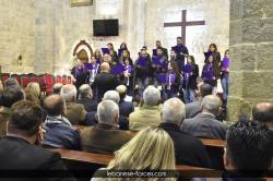 jezzine00229