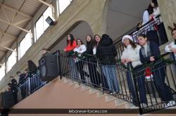 jezzine00353